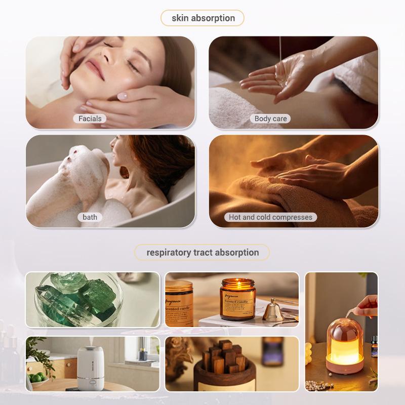 10ml Fragrance Oils Gift Box F - Soap Making Ingredient 评论和价格