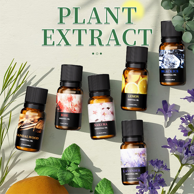 6Pcs 10ml Fragrance Essential  - Soap Making Ingredient 评论和价格